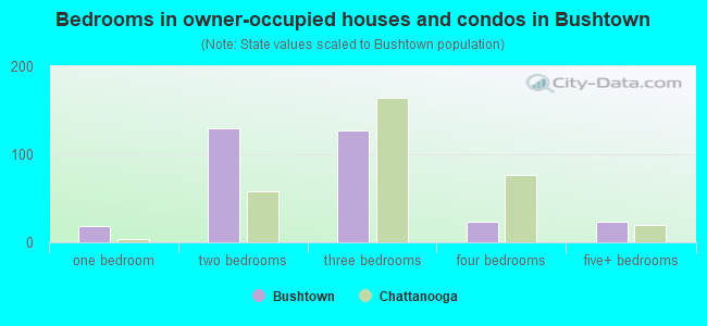 Bedrooms in owner-occupied houses and condos in Bushtown