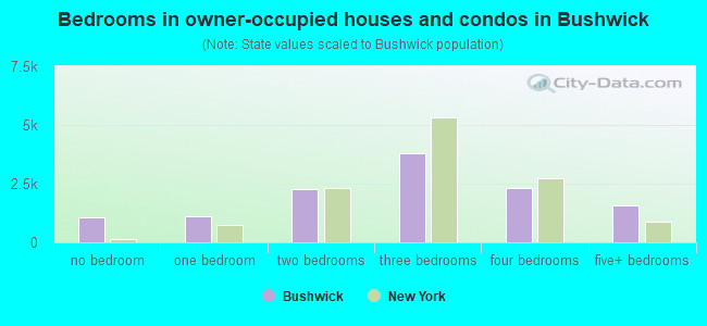 Bedrooms in owner-occupied houses and condos in Bushwick