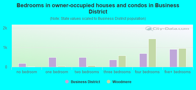 Bedrooms in owner-occupied houses and condos in Business District