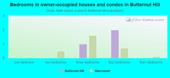 Bedrooms in owner-occupied houses and condos in Butternut Hill