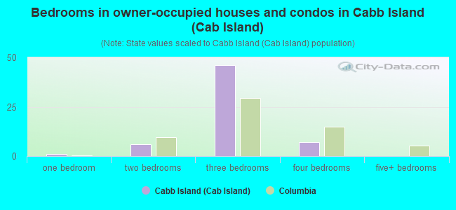 Bedrooms in owner-occupied houses and condos in Cabb Island (Cab Island)