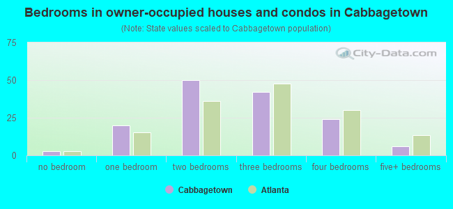 Bedrooms in owner-occupied houses and condos in Cabbagetown