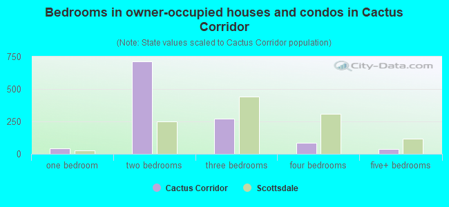 Bedrooms in owner-occupied houses and condos in Cactus Corridor