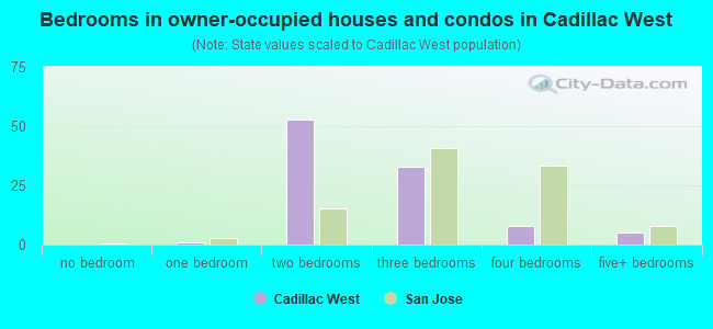 Bedrooms in owner-occupied houses and condos in Cadillac West
