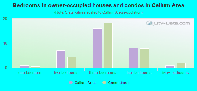 Bedrooms in owner-occupied houses and condos in Callum Area