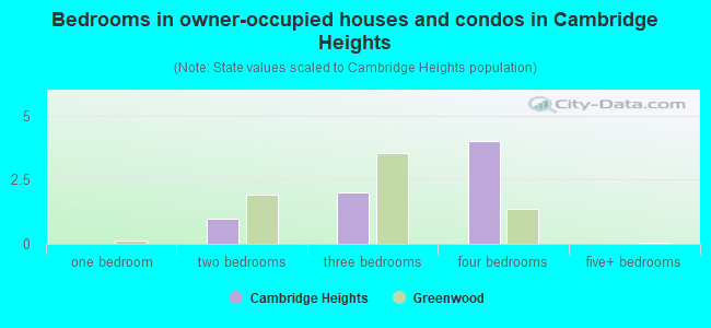 Bedrooms in owner-occupied houses and condos in Cambridge Heights