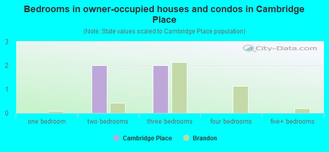 Bedrooms in owner-occupied houses and condos in Cambridge Place