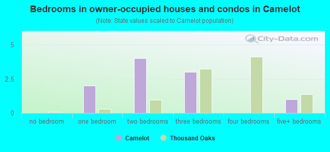 Bedrooms in owner-occupied houses and condos in Camelot