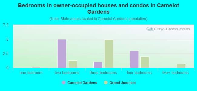 Bedrooms in owner-occupied houses and condos in Camelot Gardens