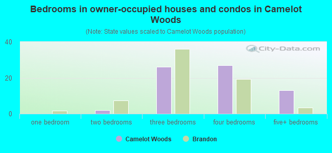 Bedrooms in owner-occupied houses and condos in Camelot Woods