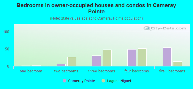 Bedrooms in owner-occupied houses and condos in Cameray Pointe
