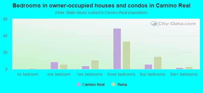 Bedrooms in owner-occupied houses and condos in Camino Real
