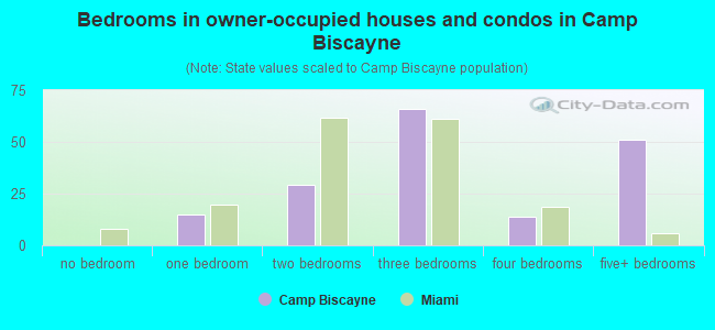 Bedrooms in owner-occupied houses and condos in Camp Biscayne