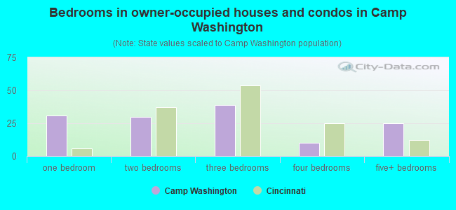 Bedrooms in owner-occupied houses and condos in Camp Washington