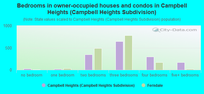Bedrooms in owner-occupied houses and condos in Campbell Heights (Campbell Heights Subdivision)