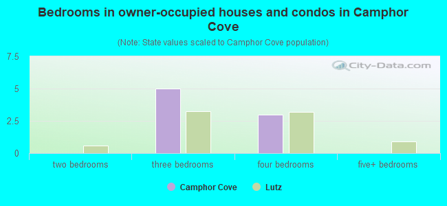Bedrooms in owner-occupied houses and condos in Camphor Cove