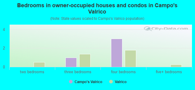 Bedrooms in owner-occupied houses and condos in Campo's Valrico