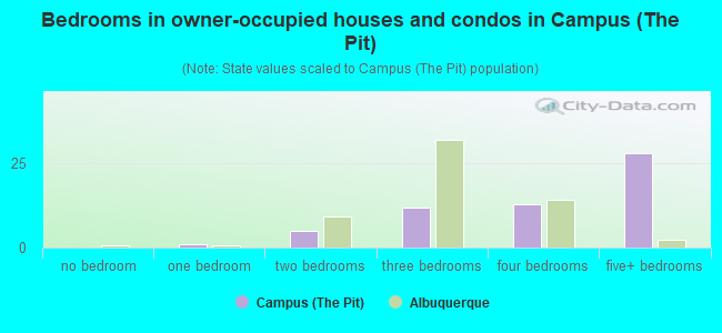 Bedrooms in owner-occupied houses and condos in Campus (The Pit)