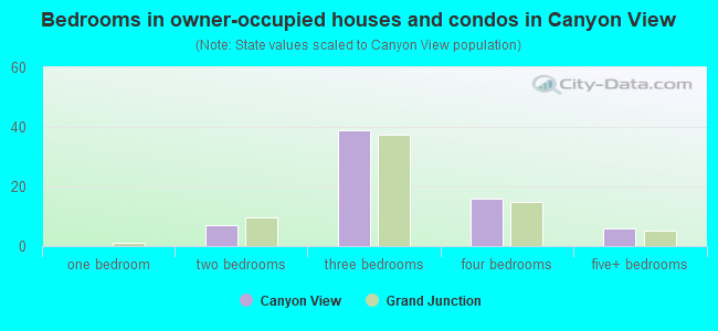 Bedrooms in owner-occupied houses and condos in Canyon View