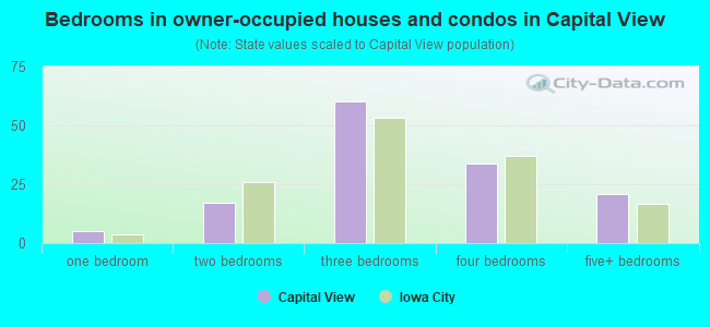 Bedrooms in owner-occupied houses and condos in Capital View
