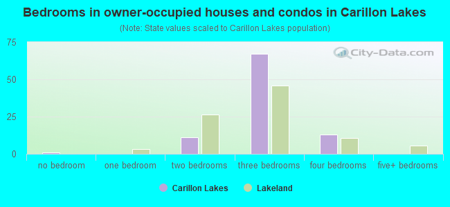 Bedrooms in owner-occupied houses and condos in Carillon Lakes