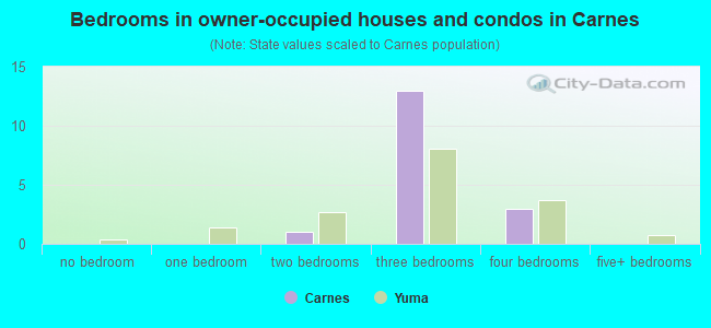 Bedrooms in owner-occupied houses and condos in Carnes