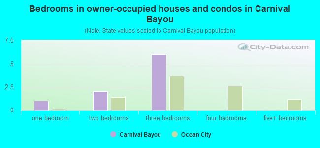 Bedrooms in owner-occupied houses and condos in Carnival Bayou