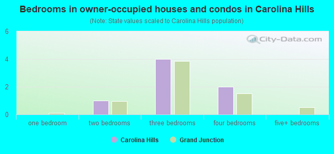 Bedrooms in owner-occupied houses and condos in Carolina Hills