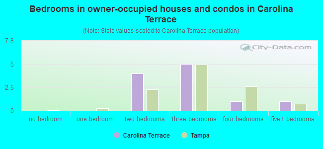 Bedrooms in owner-occupied houses and condos in Carolina Terrace