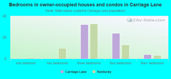 Bedrooms in owner-occupied houses and condos in Carriage Lane