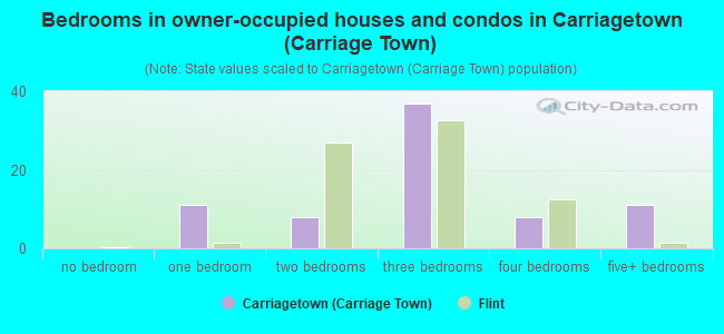 Bedrooms in owner-occupied houses and condos in Carriagetown (Carriage Town)
