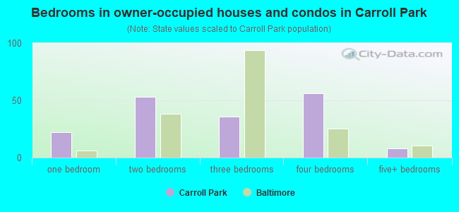 Bedrooms in owner-occupied houses and condos in Carroll Park