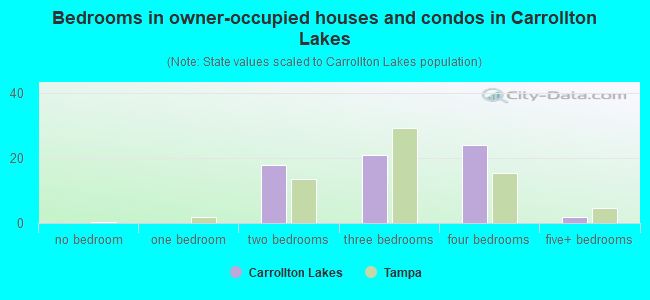 Bedrooms in owner-occupied houses and condos in Carrollton Lakes