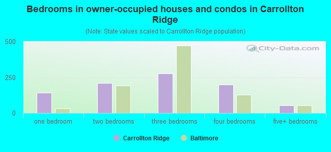 Bedrooms in owner-occupied houses and condos in Carrollton Ridge
