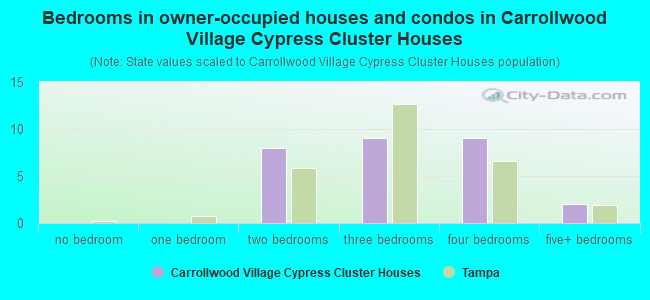 Bedrooms in owner-occupied houses and condos in Carrollwood Village Cypress Cluster Houses