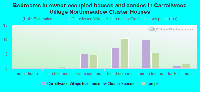 Bedrooms in owner-occupied houses and condos in Carrollwood Village Northmeadow Cluster Houses