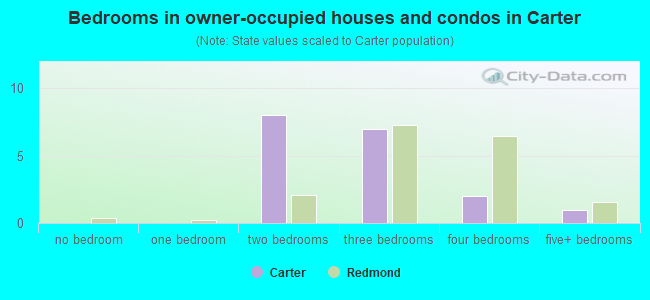 Bedrooms in owner-occupied houses and condos in Carter