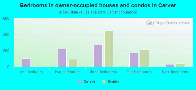 Bedrooms in owner-occupied houses and condos in Carver