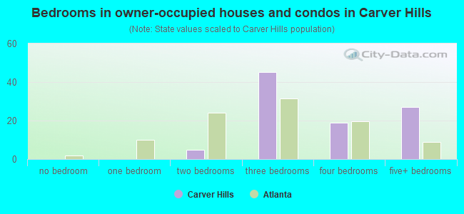 Bedrooms in owner-occupied houses and condos in Carver Hills