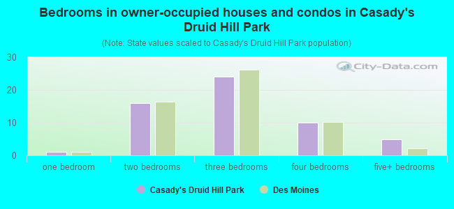 Bedrooms in owner-occupied houses and condos in Casady's Druid Hill Park