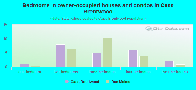 Bedrooms in owner-occupied houses and condos in Cass Brentwood