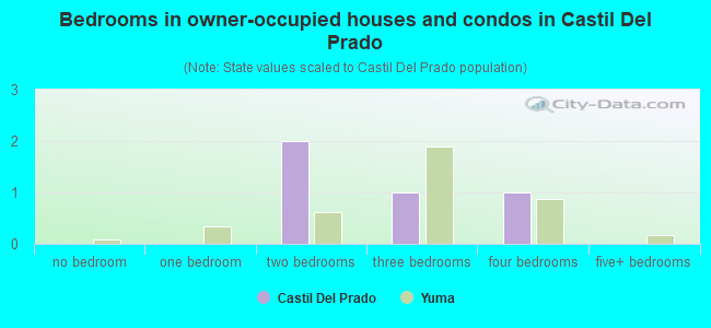 Bedrooms in owner-occupied houses and condos in Castil Del Prado