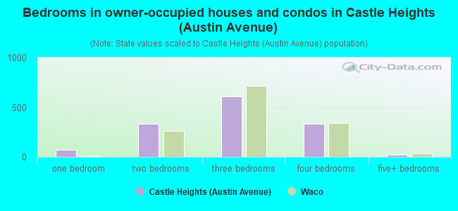 Bedrooms in owner-occupied houses and condos in Castle Heights (Austin Avenue)