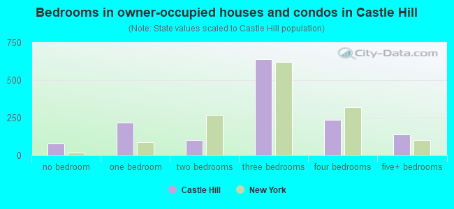 Bedrooms in owner-occupied houses and condos in Castle Hill