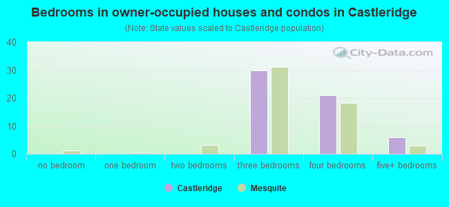 Bedrooms in owner-occupied houses and condos in Castleridge