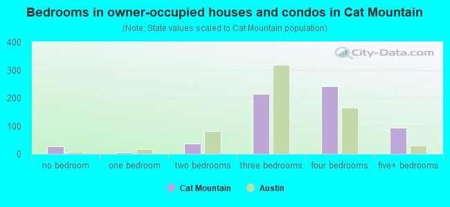 Bedrooms in owner-occupied houses and condos in Cat Mountain