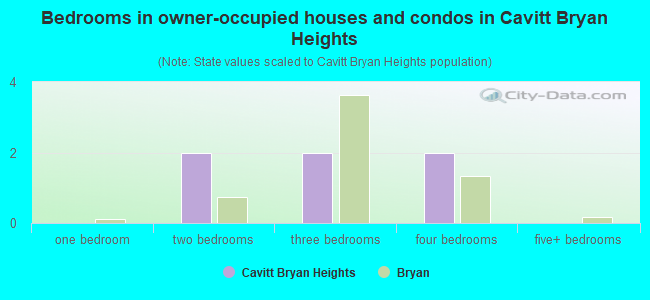 Bedrooms in owner-occupied houses and condos in Cavitt Bryan Heights