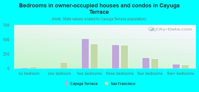 Bedrooms in owner-occupied houses and condos in Cayuga Terrace