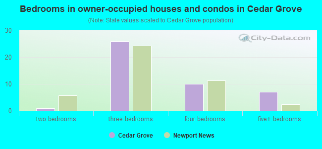 Bedrooms in owner-occupied houses and condos in Cedar Grove