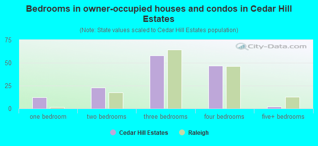 Bedrooms in owner-occupied houses and condos in Cedar Hill Estates